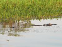 Fahrt auf dem Yellow River
