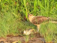 Fahrt auf dem Yellow River