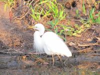 Fahrt auf dem Yellow River