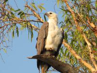 Fahrt auf dem Yellow River