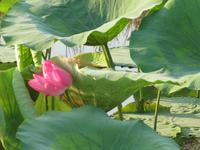 Fahrt auf dem Yellow River