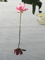 Fahrt auf dem Yellow River