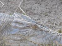Fahrt auf dem Yellow River