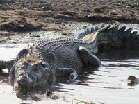 Fahrt auf dem Yellow River