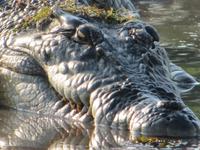 Fahrt auf dem Yellow River