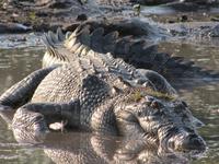 Fahrt auf dem Yellow River