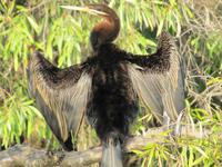 Fahrt auf dem Yellow River