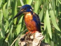 Fahrt auf dem Yellow River