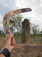 Boomerang werfen am Termitenfelsen