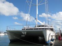 Tagesausflug Great Barrier Reef