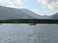 Tagesausflug Great Barrier Reef