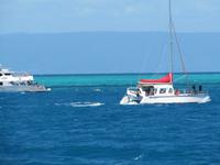 Tagesausflug Great Barrier Reef