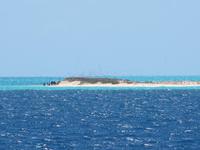 Tagesausflug Great Barrier Reef - Michaelmas Quay