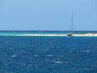 Tagesausflug Great Barrier Reef - Michaelmas Quay