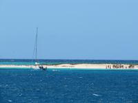 Tagesausflug Great Barrier Reef - Michaelmas Quay