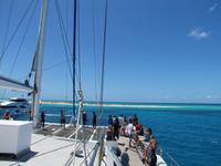 Tagesausflug Great Barrier Reef - Michaelmas Quay