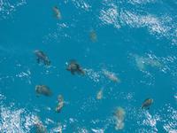 Tagesausflug Great Barrier Reef - Michaelmas Quay