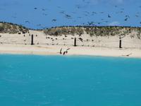 Tagesausflug Great Barrier Reef - Michaelmas Quay