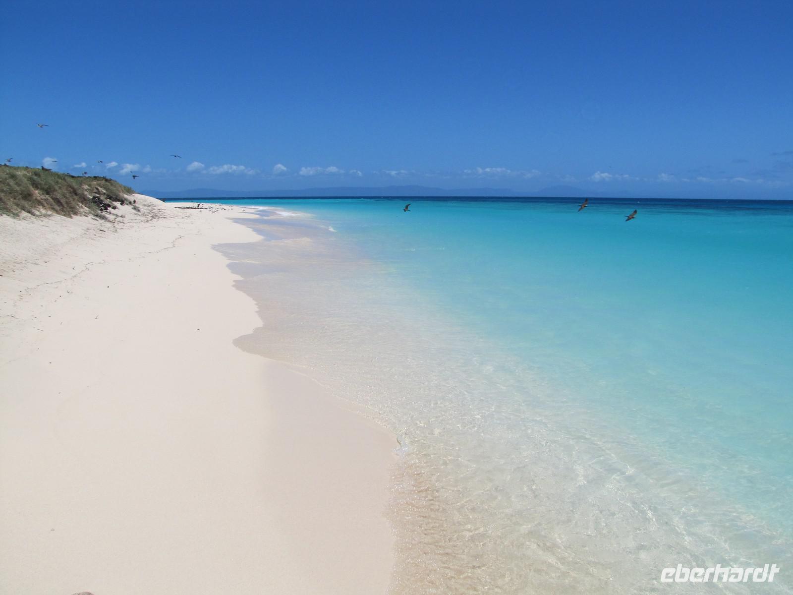 Tagesausflug Great Barrier Reef - Michaelmas Quay