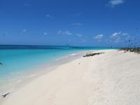 Tagesausflug Great Barrier Reef - Michaelmas Quay