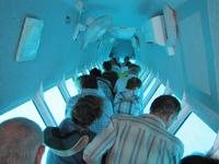 Tagesausflug Great Barrier Reef - Michaelmas Quay