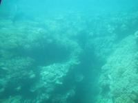 Tagesausflug Great Barrier Reef - Michaelmas Quay