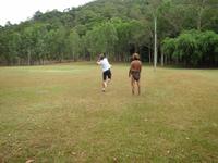 Ureinwohnershow im Tjapukai Culture-Park