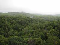 Mit der längsten Seilbahn der südlichen Hemisphäre über das Blätterdach des Regenwaldes