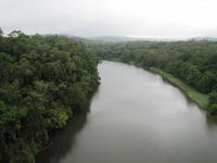 Mit der längsten Seilbahn der südlichen Hemisphäre über das Blätterdach des Regenwaldes