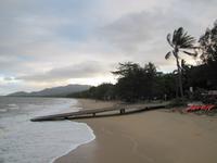 Palm Cove Beach