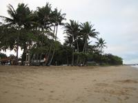Palm Cove Beach