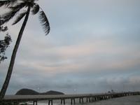 Palm Cove Beach