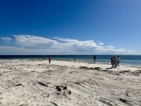 5. Reisetag – Tagesausflug in den Norden von Perth – Fotostopp an der Hangover Bay