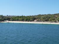 P1030013-bei der Hafenrundfahrt in Sydney