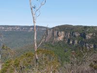 P1030050-Blue Mountains