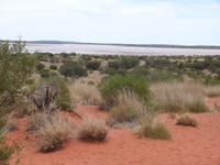 P1030333- das rote Outback mit Salzsee im Hintergrund