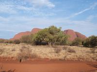 P1030357-Die Olgas beim Abendlicht