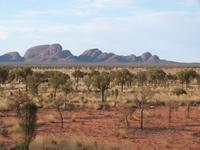 P1030360-Herrlicher Blick auf die Olgas