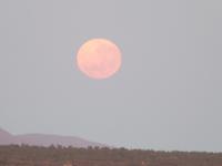 P1030380-Der Mond im Outback