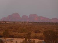 P1030395-Olgas am Abend