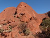 P1030401- Gestein der Olgas