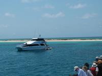 P1030469-Fahrt zum Great Barrier Reef