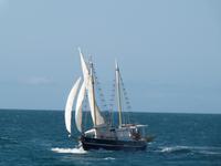 P1030490- Rückfahrt nach Cairns