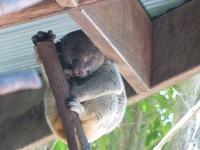 P1030575-bitte nicht stören...