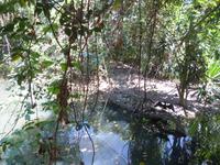 P1030580-Anlage des Wildlife Tierparkes in Cairns