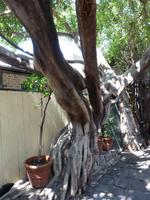 Grosse Australien Rundreise 2013 - Sydney