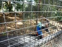 Grosse Australien Rundreise 2013 - Blue Mountains