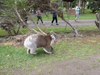 Grosse Australien Rundreise 2013 - Great Ocean Road Victoria