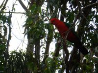 Grosse Australien Rundreise 2013 - Great Ocean Road Victoria