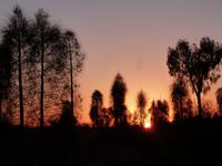 Grosse Australien Rundreise 2013 - Outback Northern Territory Uluru